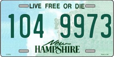 NH license plate 1049973