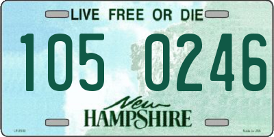 NH license plate 1050246