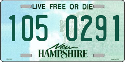 NH license plate 1050291