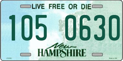 NH license plate 1050630