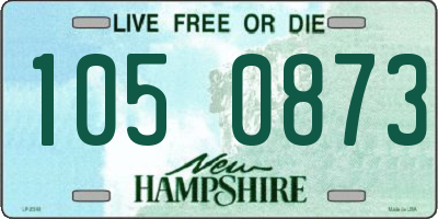 NH license plate 1050873
