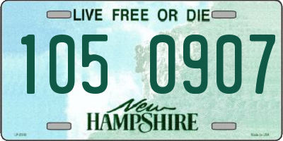 NH license plate 1050907