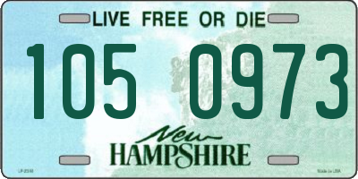 NH license plate 1050973