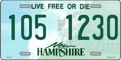 NH license plate 1051230