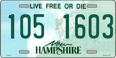 NH license plate 1051603