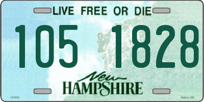 NH license plate 1051828