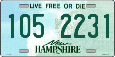 NH license plate 1052231