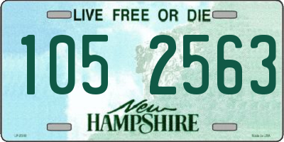 NH license plate 1052563