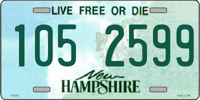 NH license plate 1052599