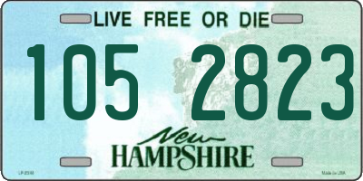 NH license plate 1052823