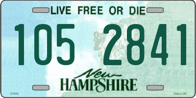 NH license plate 1052841