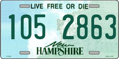 NH license plate 1052863