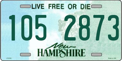 NH license plate 1052873