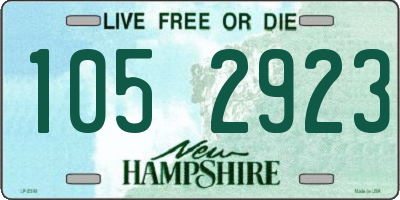NH license plate 1052923