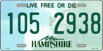 NH license plate 1052938