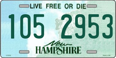 NH license plate 1052953