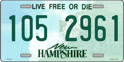 NH license plate 1052961