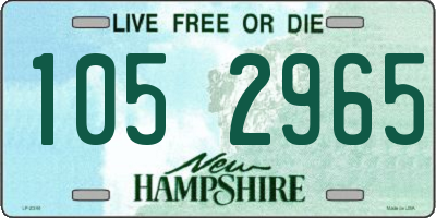NH license plate 1052965