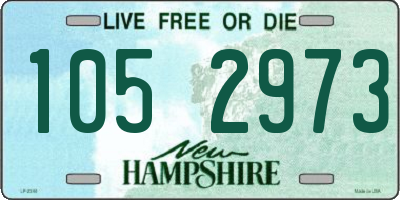 NH license plate 1052973