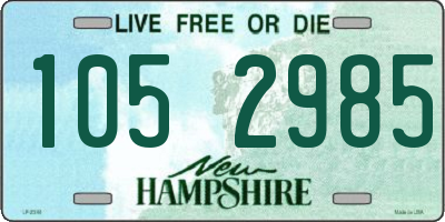 NH license plate 1052985