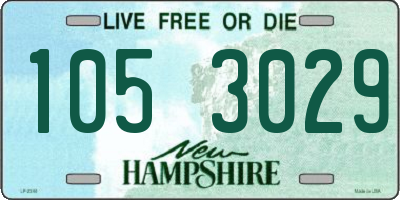 NH license plate 1053029