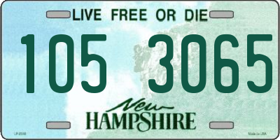 NH license plate 1053065