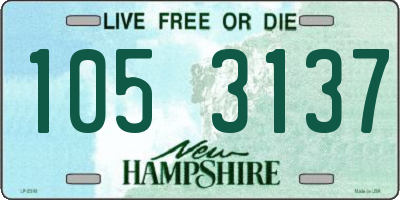 NH license plate 1053137
