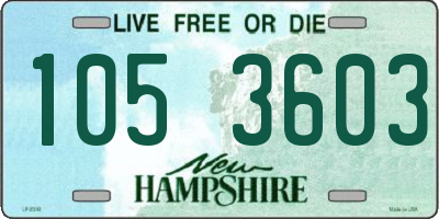 NH license plate 1053603