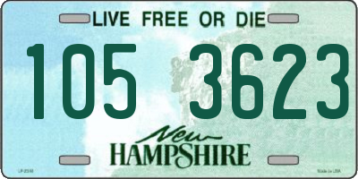 NH license plate 1053623