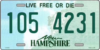 NH license plate 1054231