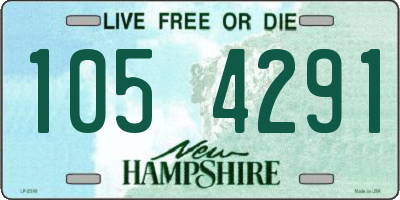 NH license plate 1054291