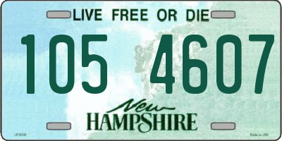 NH license plate 1054607