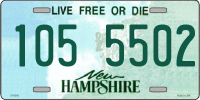 NH license plate 1055502