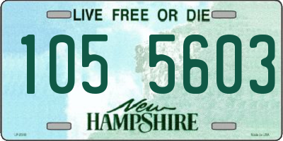 NH license plate 1055603