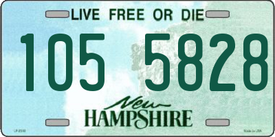 NH license plate 1055828