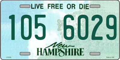 NH license plate 1056029