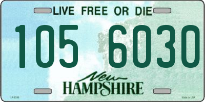NH license plate 1056030