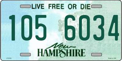 NH license plate 1056034