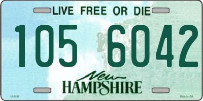 NH license plate 1056042