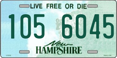 NH license plate 1056045