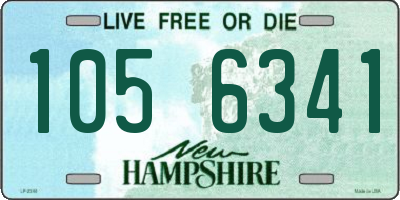 NH license plate 1056341