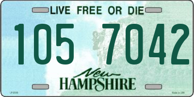 NH license plate 1057042