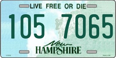 NH license plate 1057065