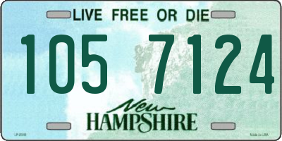 NH license plate 1057124