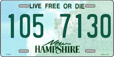 NH license plate 1057130