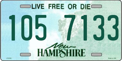 NH license plate 1057133