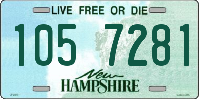 NH license plate 1057281