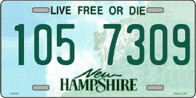 NH license plate 1057309