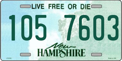 NH license plate 1057603