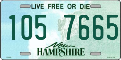 NH license plate 1057665